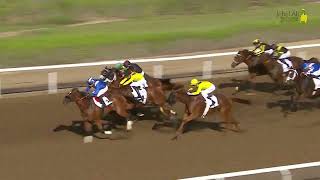 Jebel Ali 021124 Race 4 [upl. by Francisco]