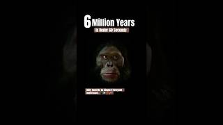 6 Million Years Of Evolution In Under 60 Seconds From Ape To Man Creationism [upl. by Seth]