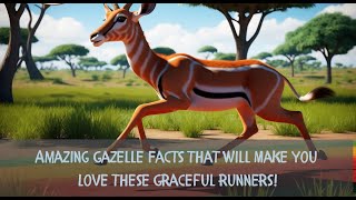 How Fast Can Gazelles Run Discover 10 Fun Facts [upl. by Annahahs]