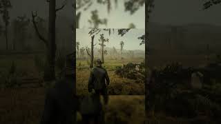 Visiting Hosea and Lennys grave in rdr2rdr2 location gaming [upl. by Beberg]