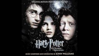 Harry Potter and the Prisoner of Azkaban Score  17  Saving Buckbeak [upl. by Anabahs94]