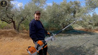 STIHL SP 452 amp SPA 140 σε ελληνικό ελαιώνα [upl. by Borg784]