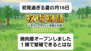 38ウシ小屋大きくして、種付けしました牧場物語 オリーブタウンと希望の大地 SPECIAL [upl. by Nigle]