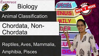 Animal Classification NonChordata Chordata  Reptiles Aves Mammalia Amphibia Pisces ICSE [upl. by Alleris]