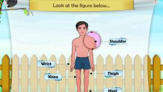 Learn Grade 1  Science  The Parts Of The Body and Their Functions [upl. by Warchaw]