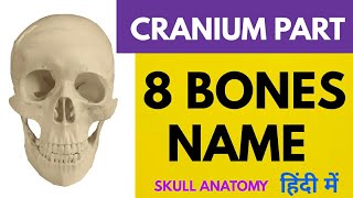 8 Cranium bones name skull anatomy  Frontal bone Temporal bone [upl. by Ennairam]