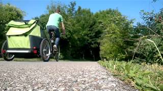 Croozer Bike Trailer at the Grocery Store [upl. by Keeryt]