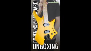 Strandberg NX 6 Standard Amber UNBOXING [upl. by Cavanaugh214]