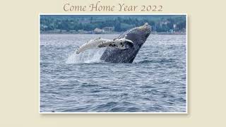 Come Home Year New Harbour 2022 [upl. by Enaoj]