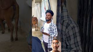 Gadi chori ho gya😀 comedy akhilarya funny akhilaryacomedy realfoolscomedy [upl. by Nojad]