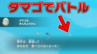 【メニューバグ】バトルで『タマゴ』を出すこともできるバグが可能性を秘めている【ポケモンSV バグ 検証 】 [upl. by Nnahgaem]