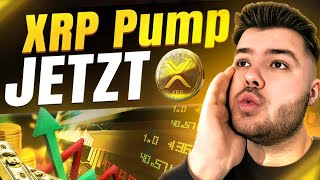 Wird XRP JETZT Pumpen 🎉 Realistische PROGNOSE Ripple DEUTSCH [upl. by Araiek]