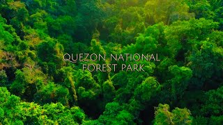 ATIMONAN ZIGZAG ROAD  BITUKANG MANOK  QUEZON NATIONAL FOREST PARK [upl. by Silenay]