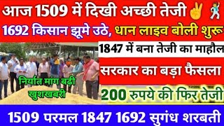 धान का भाव 18 दिसंबर 2024  1718 dhan ke bhav  1121 dhan ke bhav  basmati dhan mandi bhav [upl. by Mundy809]