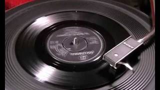 The Ballad Of Jed Clampett  JOHNNY DUNCAN amp The KINGPINS  1963 45rpm [upl. by Eerb798]