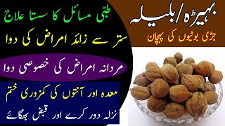 Halela Ya Bahera Ke Fayde  Beleric Myrobalan Health Benefits  بلیلہ یا بہیڑہ کے فائدے [upl. by Lessur]