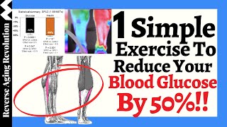 The BEST Exercise To REDUCE Your Blood Glucose [upl. by Barnebas899]