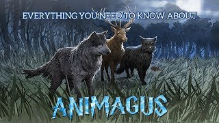 Everything You Need To Know About Animagus Harry Potter Explained [upl. by Aryamo]