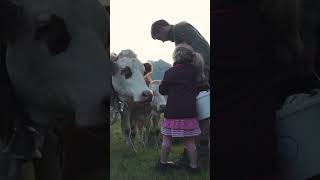 Kälber salzen 🐮🧂 und Heidelbeeren pflücken auf der Filzmoosalm ⛰️ [upl. by Suiravaj]