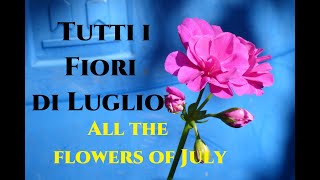 Tutti i Fiori di Luglio nel giardino di Monfestino Tutorial Giardinaggio Gardeners World [upl. by Ardiedal163]