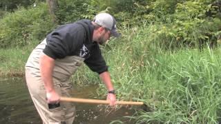 Biological MonitoringInvertebrate Sampling [upl. by Radack]