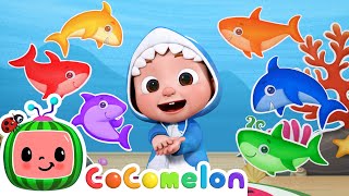 Baby Shark Learns Colors  CoComelon Nursery Rhymes amp Kids Songs [upl. by O'Rourke]