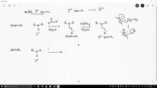 synthesis of tertiary amines [upl. by Kinsley625]