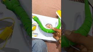 New toy mini snake 🐍 Ajay Kushwaha mini vlog youtubeshorts minivlog shorts [upl. by Olnek]