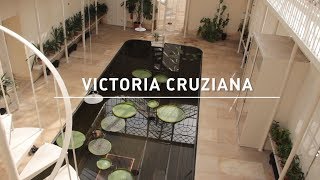 07  Agosto  Victoria cruziana [upl. by Hgielra]