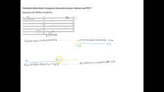 sequences des amorces PCR [upl. by Yenobe868]