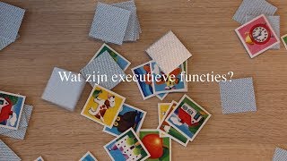 Kindercognitie Wat zijn executieve functies [upl. by Ahsuatan]