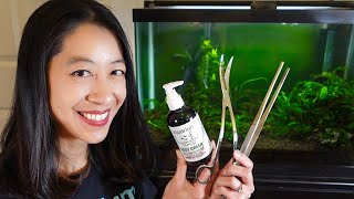 How to Set up a Fish Tank with Live Plants [upl. by Hawkie425]