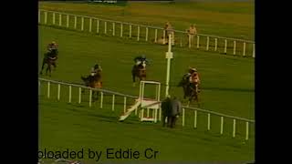 1989 Rossington Main Novices Hurdle Doncaster [upl. by Notloc]