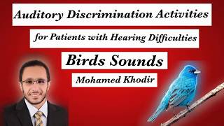 Auditory discrimination activities  birds sounds  bird  Mohamed Khodir [upl. by Tilney]