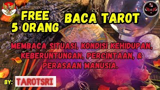 FREE 12 ORANG BACA TAROT 😎 UNTUK MEMBACA SITUASI KONDISI  KEBERUNTUNGAN PERCINTAAN amp PERASAAN [upl. by Justino]