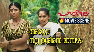 അയ്യോ നല്ല ഉശിരൻ മാമ്പഴം  Parankimala Movie Scene [upl. by Heather]