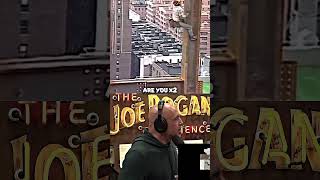 Joe Rogan Reacts To a Construction Worker From the 1980s 🔨 [upl. by Carlile]