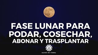 🌖 Como Usar Fases Lunares Para Podar Cosechar Abonar Injertar y plantar 🌙 [upl. by Naahs]