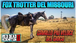 ECCO IL VERO CAVALLO PIÚ VELOCE DI RED DEAD REDEMPTION 2 ITA FOX TROTTER DEL MISSOURI  RDR2 ITA [upl. by Lillie]