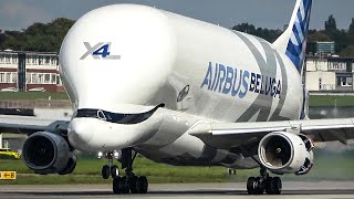 AIRBUS BELUGA XL LANDING and Departure  THE FLYING WHALE 4K [upl. by Crispas]