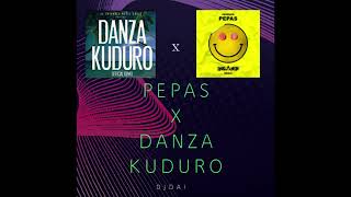 Pepas X Danza Kuduro Mashup [upl. by Gnilsia]