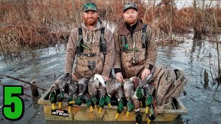 EPIC Marsh Duck Hunt on Public LandBIG groups of Mallards [upl. by Ahsinauq]