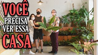 CONHEÇA um OÁSIS de PLANTAS RARAS  Casa Botânica [upl. by Engracia]