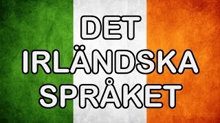 Irländska språket • Översättning till irländska ✔ [upl. by Gladine]