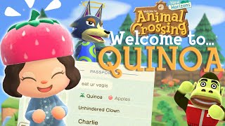 My First Month In Animal Crossing New Horizons [upl. by Ailimat]