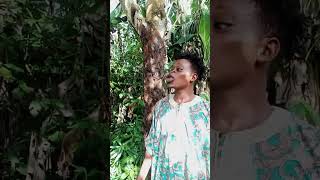 Wahala no dey finish funnyvideo comedy youtubeshorts [upl. by Ereynihc]