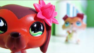 Littlest Pet Shop Popular Episode 11 Revenge Isnt Always Sweet [upl. by Brunn]