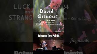 quotBetween Two Pointsquot fragments David Gilmour TOUR 2024  3rd October 2024 Rome Italy [upl. by Mela]