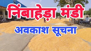 निंबाहेड़ा मंडी भाव  निंबाहेड़ा मंडी सूचना  Nimbahera mandi bhav  nimbada mandi bhav [upl. by Beaver]