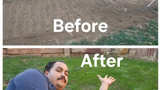 Winter Grass Update DIY Lawn Guy [upl. by Dalenna]